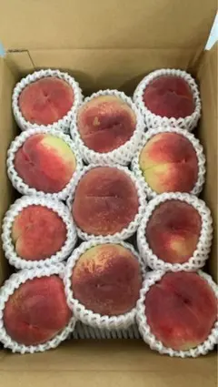 完熟プラム　宅急便常温発送　本日限り 完熟プラム 宅急便常温発送 本日限り - メルカリ
