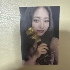 2025年最新】twice チェキ サナの人気アイテム - メルカリ