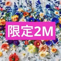 ❣️ 【限定】お得2M 鮮やかなお花柄立体感　綿100%シーチング生地