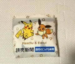【新品未使用】ピカチュウ & イーブイ　エコバッグ