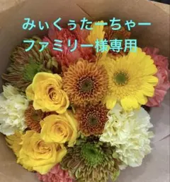 みぃくぅたーちゃーファミリー 様専用 toccoコットンワンピ