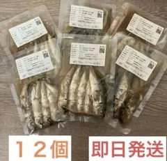 2025年最新】よしりんノリちゃんのお魚ごはんの人気アイテム