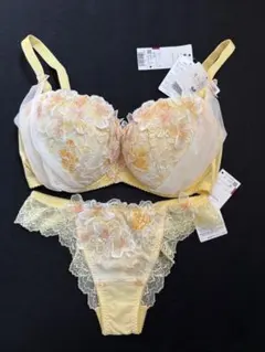 ワコール　パルファージュ　Wacoal PARFAGE ブラ＆ショーツ　セット