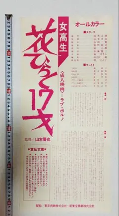 希少 当時物 1972.12 痴漢３６５ 東京興映 山本晋也監督 ポスター 希少 当時物 1972.12 痴漢365 東京興映 山本晋也監督 ポスター