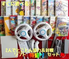 【wii本体】2人プレイセット ソフト20本付き