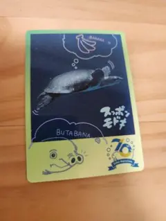 2025年最新】鳥羽水族館 70周年の人気アイテム - メルカリ