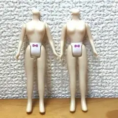 プチブライス アイシードール 交換用 ボディ 2体のサムネイル