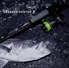 【ダイワ】シーバスハンターX96M/R Daiwa SEABASS HUNTERのサムネイル
