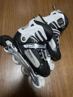 Item thumbnail for item 9afa5bf1-6829-41d1-828d-226241e61095