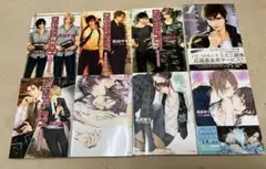 英田サキ 凪良ゆう　ボーイズラブ小説　8巻セット