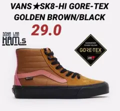 日本未発売　未使用　VANS SK8-HI　GORE-TEX　29 ゴアテックス