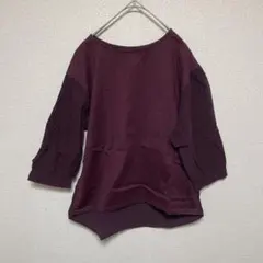 【W closet】 紫 ボーダー Tシャツ 薄手 フリーサイズ