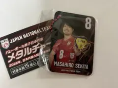 バレーボール 男子日本代表 メタルチャーム 関田誠大