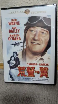 廃盤】荒鷲の翼 ジョン・フォード 復刻シネマライブラリー DVD - メルカリ