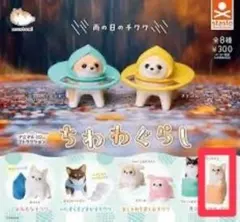 【匿名配送】ちわわぐらし:見守るチワワ〈フォーン＆ホワイト〉