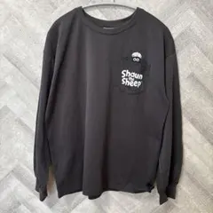 Item thumbnail for item 3d2b6288-f765-4a15-8f11-136bb66c83f1