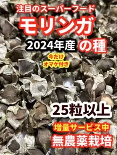 sunny lee様 リクエスト 2点 まとめ商品