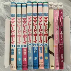 ママレード・ボーイ 完全版 全6巻セット 吉住渉 - メルカリ