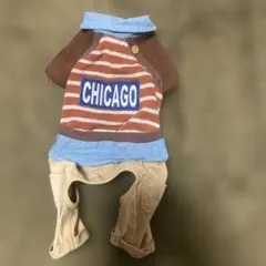CHICAGO ロゴ ストライプ 犬服のサムネイル