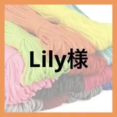 Lily様 様
