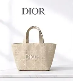 Dior ハンドバッグ　ノベルティ DIOR ハンドバッグ ノベルティ - メルカリ