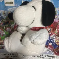 【タグ付・未使用】USJ　スヌーピー★BIGぬいぐるみ