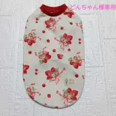 どんちゃん様専用