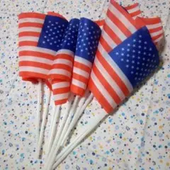 アメリカのミニ国旗　10本セット