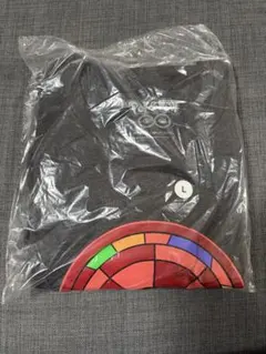 ポケモンGOフェス2026東京 パーカー Tシャツ アバターシリアルコード