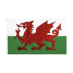 ウェールズ国旗 フラッグ flag150cm x 90cm新品 送料無料