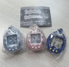 たまごっち シャカシャカチャームコレクション てんしっち みみっち　人気の3点