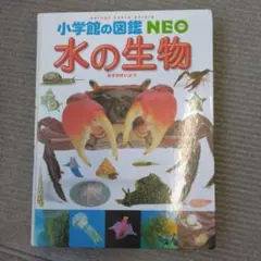 Item thumbnail for item 4955d6e2-fecf-4f3d-941c-8675f2ae6b6e