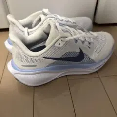 Nikeペガサス41 24cm