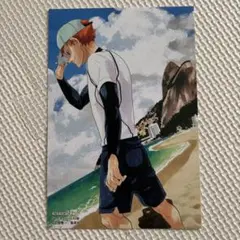 【非売品・美品】ハイキュー43巻購入特典カード　日向翔陽