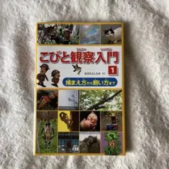 こびと観察入門1