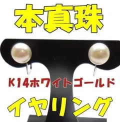 Item thumbnail for item 8b89e51b-a853-48a7-9bc4-ca36154b3520