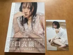 ☆君にしか教えない : 野口衣織ファースト写真集 ポストカード 帯付き