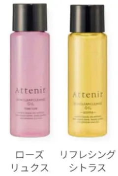 Item thumbnail for item 69c1ad7c-3a17-4e4d-aa47-fc413ec2f27f