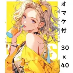 †癒漓猫†様 リクエスト 2点 まとめ商品