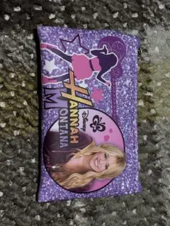 ハンナ・モンタナ フラットポーチ Hannah Montana PLAZAのサムネイル