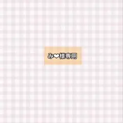 み❤︎様専用