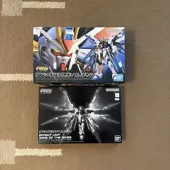RGストライクフリーダム 天空の翼セット