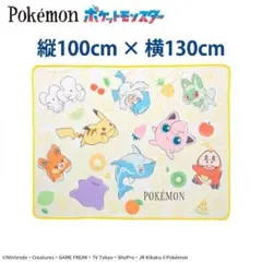 【新品】ポケットモンスター プラチナムザッカ サマー ブランケット ポケモン ③のサムネイル