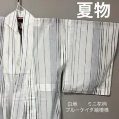 a19 美品 夏用 透かし織 小紋 洗える着物 裄 67 - メルカリ