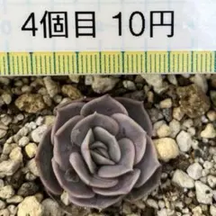 ノン様 リクエスト 5点 まとめ商品