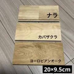 Item thumbnail for item 8b12c5de-965a-4eae-ba3a-f775791aab53