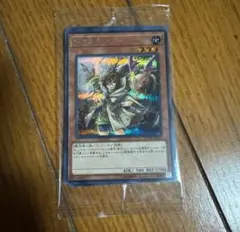 遊戯王　霊使い　未開封　シークレット　セット