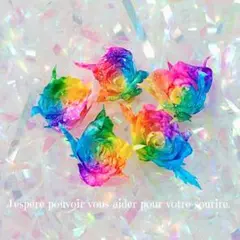 しーすけ様 リクエスト 4点 まとめ商品