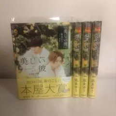 2026年最新】美しい彼 小説セットの人気アイテム - メルカリ