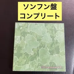 ソンフン盤 コンプリート THE SIN : VANISH FUGITIVES